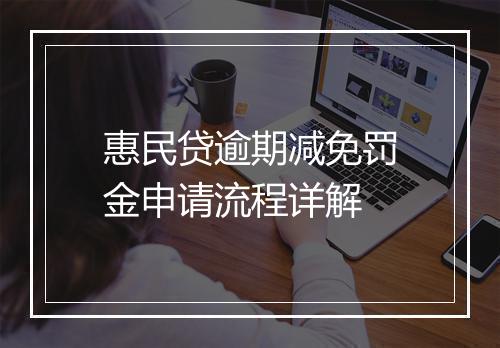 惠民贷逾期减免罚金申请流程详解