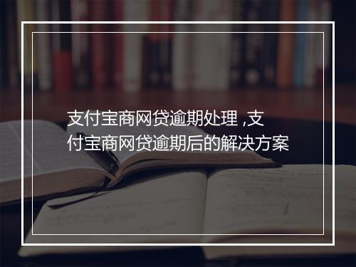 支付宝商网贷逾期处理 ,支付宝商网贷逾期后的解决方案