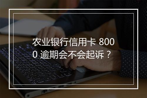 农业银行信用卡 8000 逾期会不会起诉?