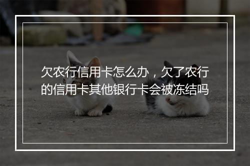 欠农行信用卡怎么办,欠了农行的信用卡其他银行卡会被冻结吗