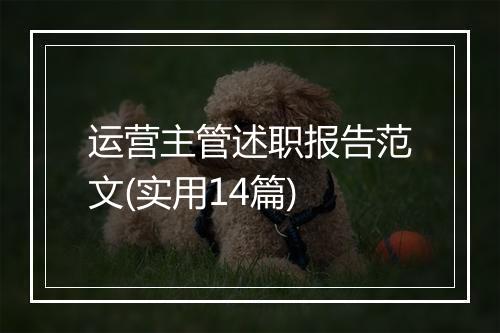 运营主管述职报告范文(实用14篇)