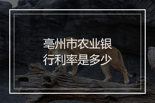 亳州市农业银行利率是多少