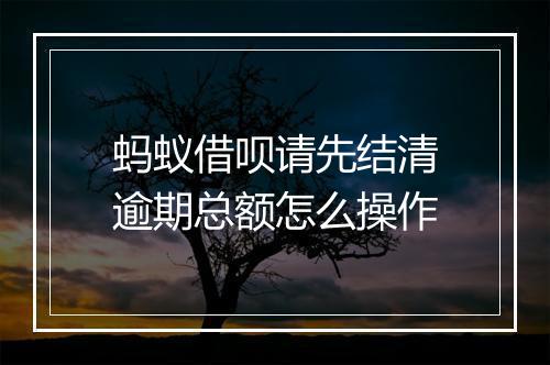 蚂蚁借呗请先结清逾期总额怎么操作