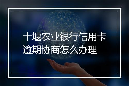十堰农业银行信用卡逾期协商怎么办理