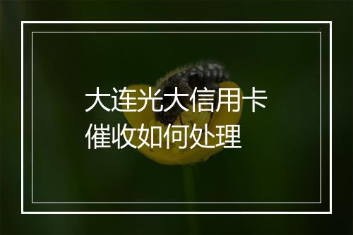大连光大信用卡催收如何处理