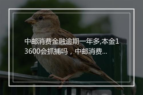 中邮消费金融逾期一年多,本金13600会抓捕吗,中邮消费金融逾期多久要求还全款