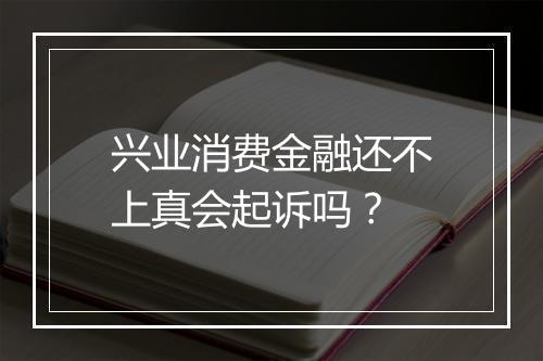 兴业消费金融还不上真会起诉吗?