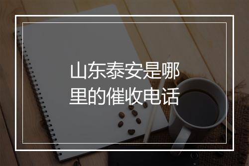 山东泰安是哪里的催收电话