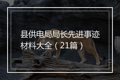 县供电局局长先进事迹材料大全(21篇)