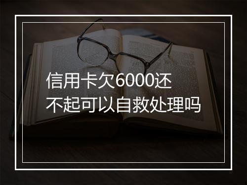 信用卡欠6000还不起可以自救处理吗