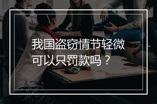 我国盗窃情节轻微可以只罚款吗?