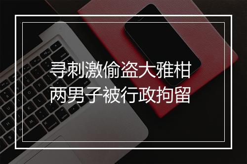 寻刺激偷盗大雅柑 两男子被行政拘留