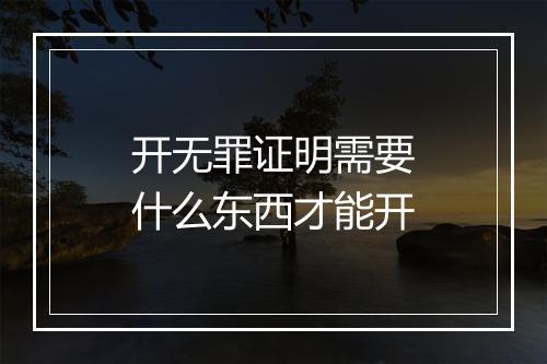 开无罪证明需要什么东西才能开