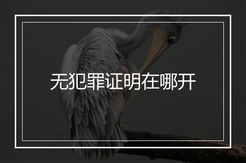 无犯罪证明在哪开