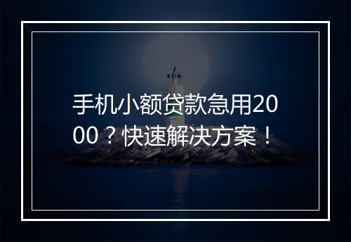 手机小额贷款急用2000?快速解决方案!