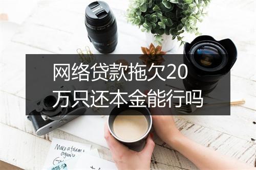 网络贷款拖欠20万只还本金能行吗