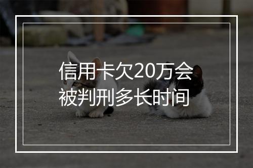 信用卡欠20万会被判刑多长时间