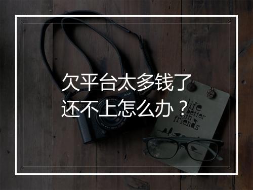 欠平台太多钱了还不上怎么办?