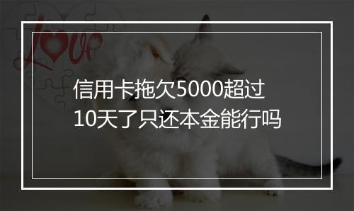 信用卡拖欠5000超过10天了只还本金能行吗