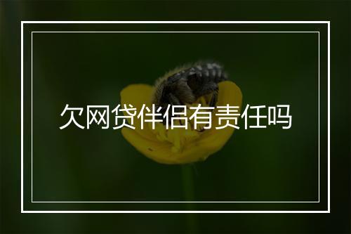 欠网贷伴侣有责任吗