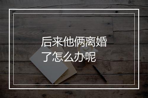后来他俩离婚了怎么办呢