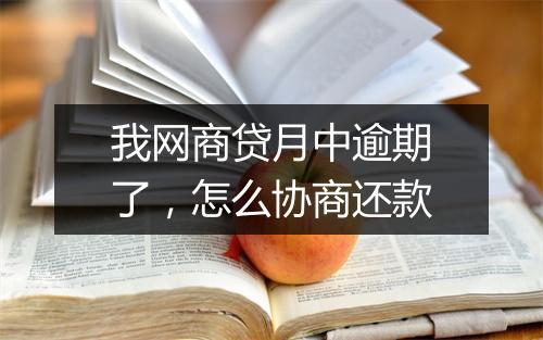 我网商贷月中逾期了,怎么协商还款