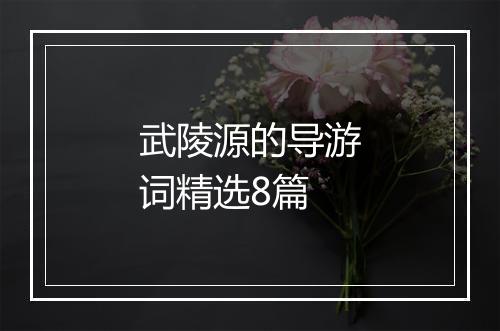 武陵源的导游词精选8篇