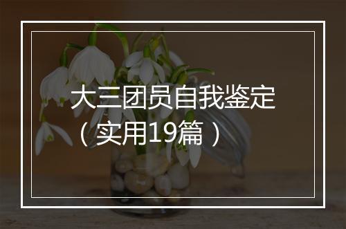 大三团员自我鉴定(实用19篇)