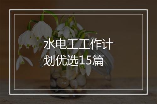 水电工工作计划优选15篇