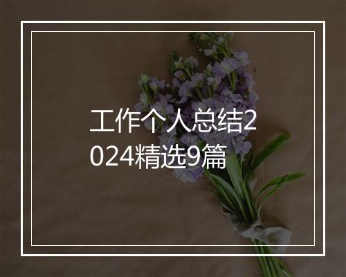 工作个人总结2024精选9篇