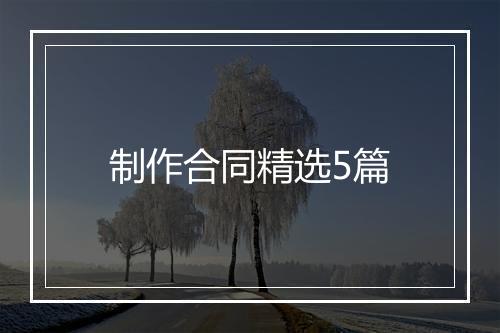 制作合同精选5篇