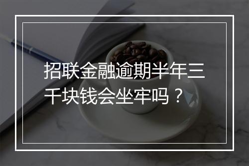 招联金融逾期半年三千块钱会坐牢吗?