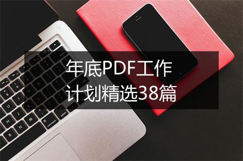 年底PDF工作计划精选38篇