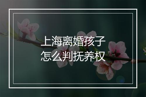上海离婚孩子怎么判抚养权