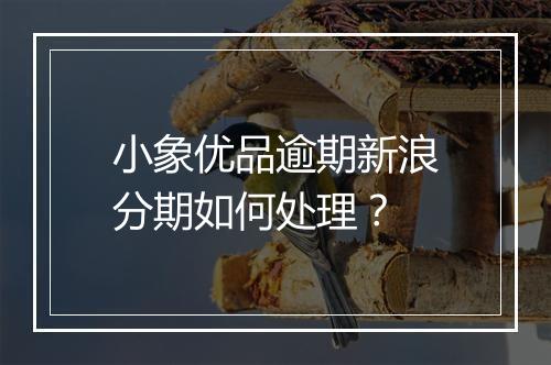 小象优品逾期新浪分期如何处理?
