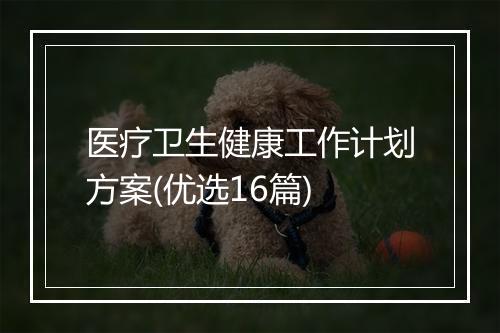 医疗卫生健康工作计划方案(优选16篇)