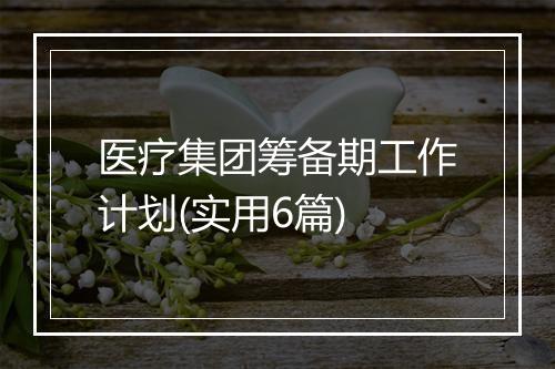 医疗集团筹备期工作计划(实用6篇)