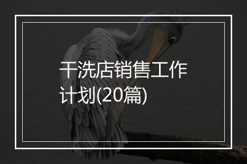 干洗店销售工作计划(20篇)