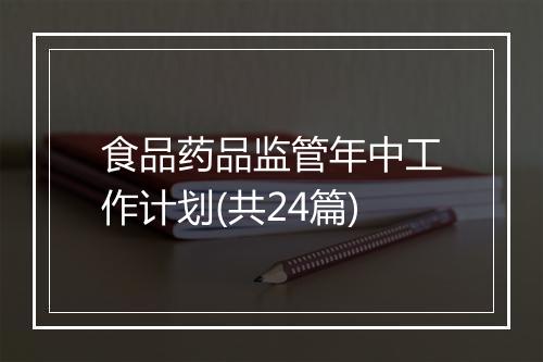 食品药品监管年中工作计划(共24篇)