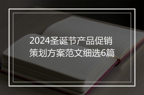 2024圣诞节产品促销策划方案范文细选6篇