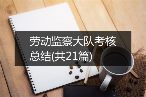 劳动监察大队考核总结(共21篇)