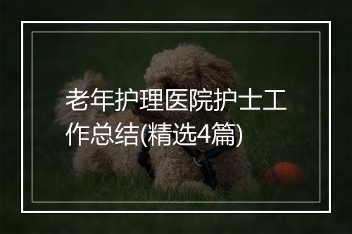 老年护理医院护士工作总结(精选4篇)