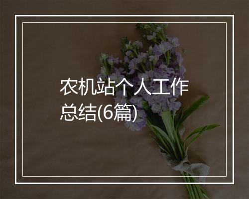 农机站个人工作总结(6篇)