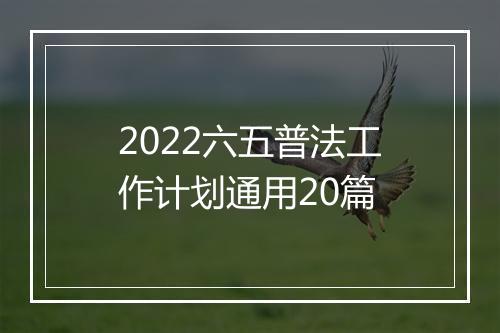 2022六五普法工作计划通用20篇