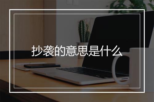 抄袭的意思是什么