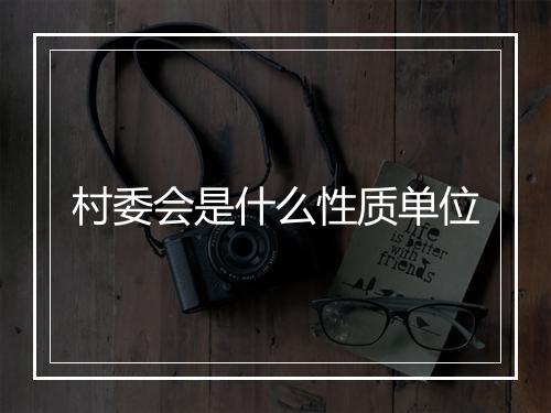 村委会是什么性质单位