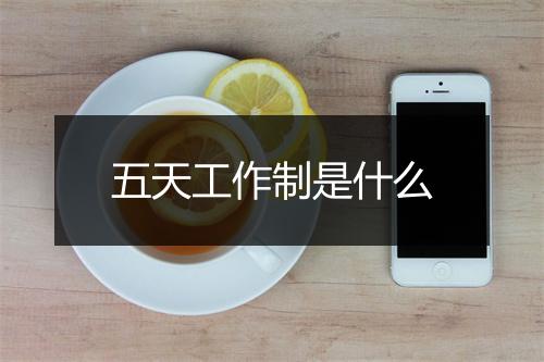 五天工作制是什么