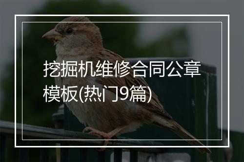 挖掘机维修合同公章模板(热门9篇)