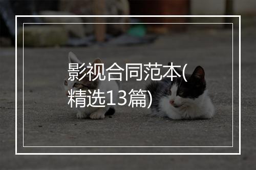 影视合同范本(精选13篇)