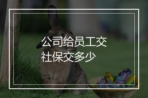 公司给员工交社保交多少